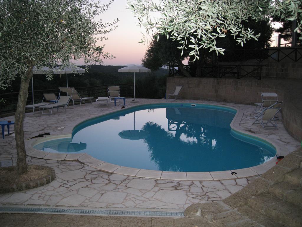 Fattoria Casanova Palaia Exterior foto