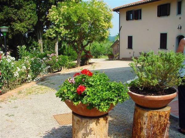 Fattoria Casanova Palaia Exterior foto