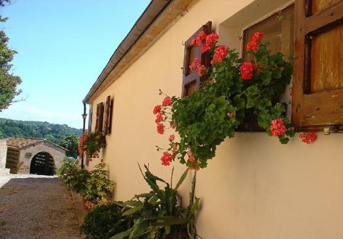 Fattoria Casanova Palaia Exterior foto