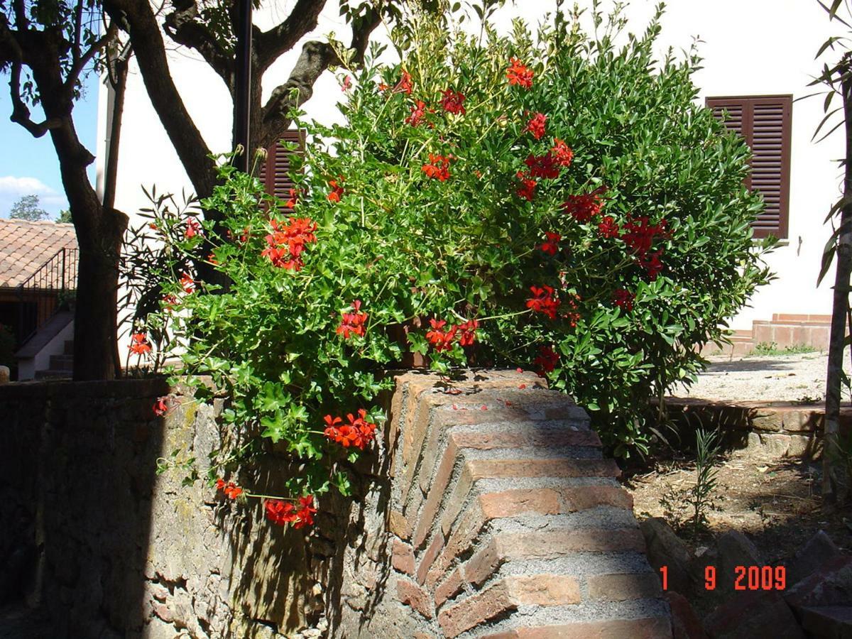 Fattoria Casanova Palaia Exterior foto