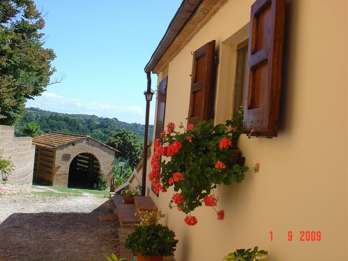 Fattoria Casanova Palaia Exterior foto